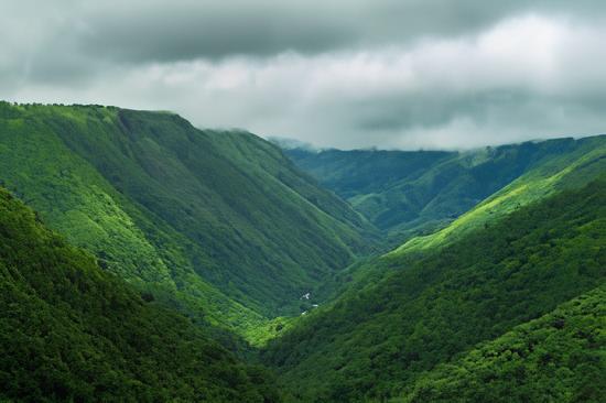 Serenity of the Himalayas