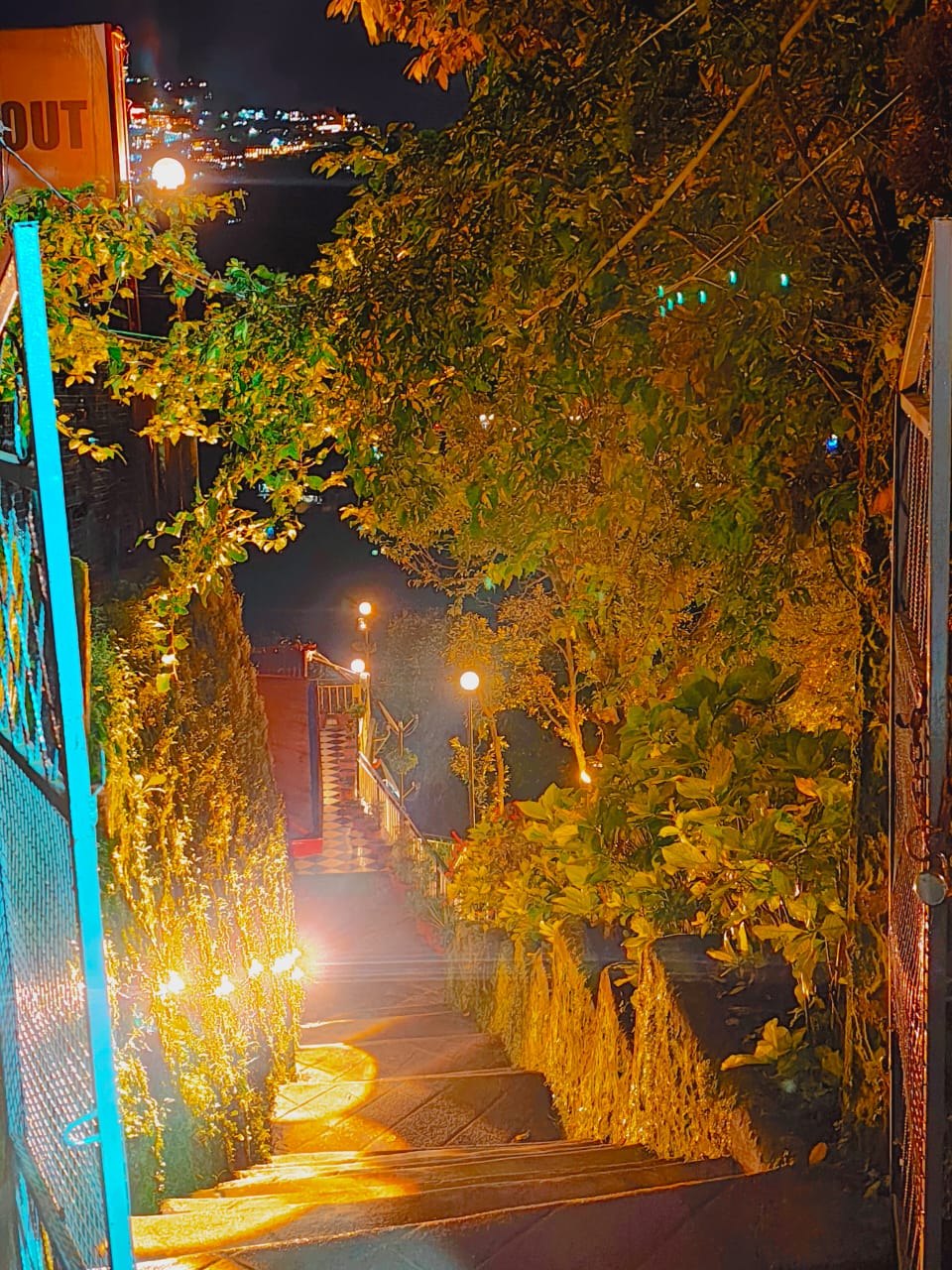 Wellness & Culture Alt