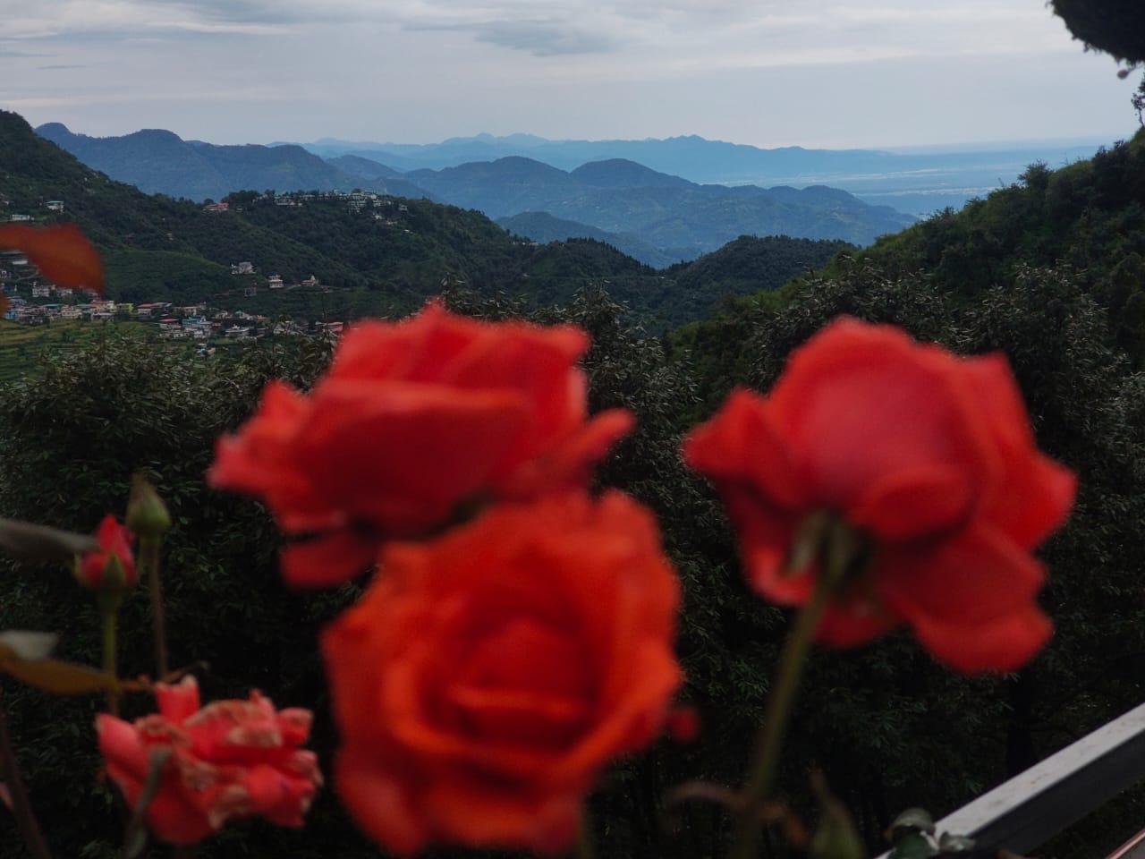 Himalayan View 1 Alt